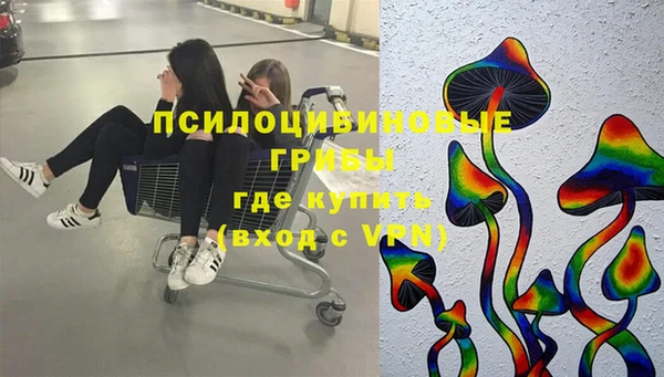 а пвп мука Белокуриха