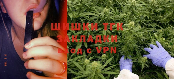 прущие грибы Белоозёрский