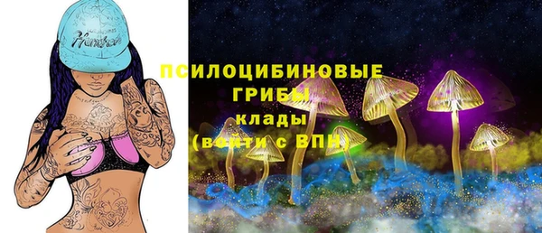 прущие грибы Белоозёрский