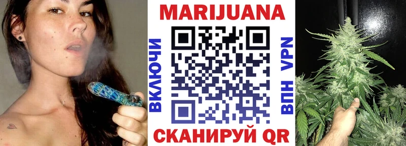где найти   Магас  Конопля конопля 